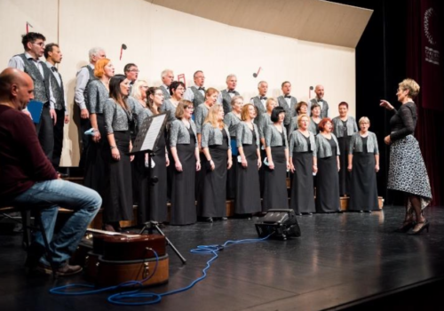 Revija odraslih pevskih zborov - mešani zbor Vrhnika.