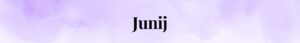 mepz-mavrica-junij