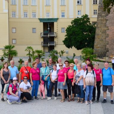 Ogled mesta z vodičko.