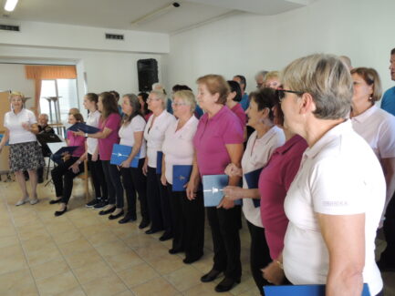 Nastop v Domu upokojencev Bokalce.